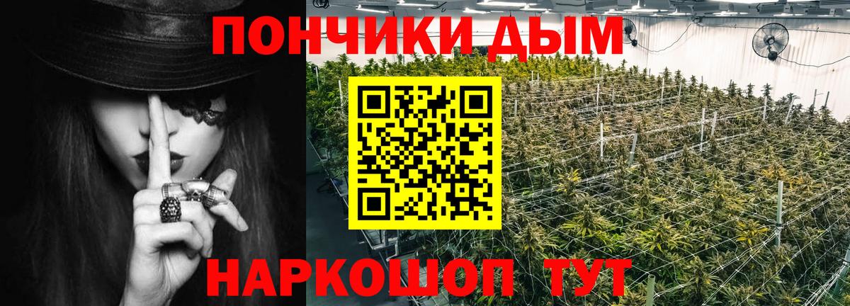 Звенигород  Каннабис THC 21%  Вход с VPN  Бошки марихуана AK-47  Бошки марихуана тримм 